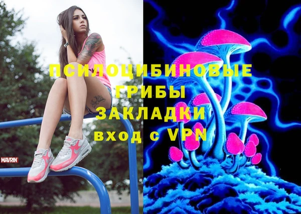 ECSTASY Медвежьегорск