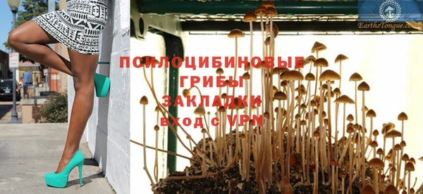 прущие крисы Богородицк