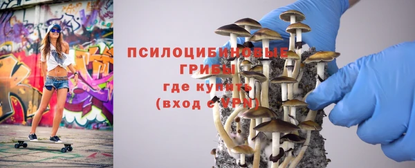 ECSTASY Медвежьегорск