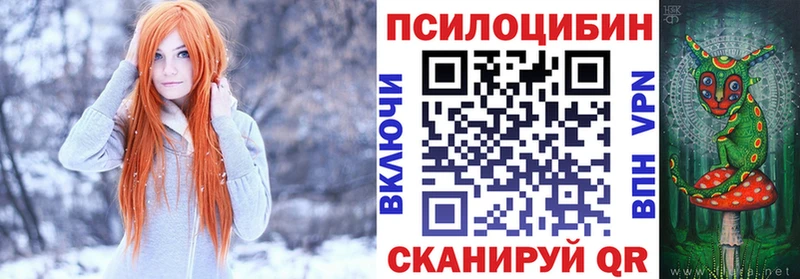 где купить наркоту  Майкоп  Галлюциногенные грибы Psilocybe 