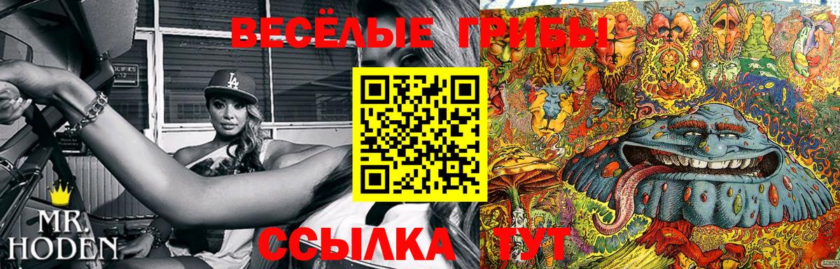 Псилоцибиновые грибы Cubensis  дарнет шоп  Майкоп  Вход с VPN 
