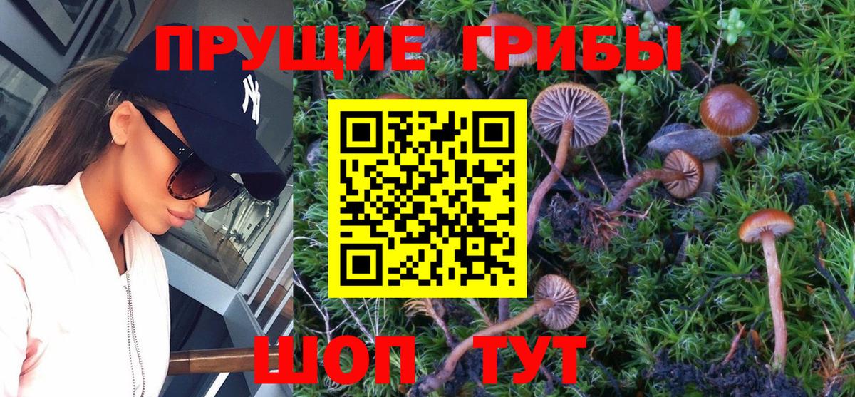 Псилоцибиновые грибы Magic Shrooms Майкоп