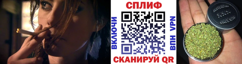 где купить наркоту  Майкоп  Конопля SATIVA & INDICA 